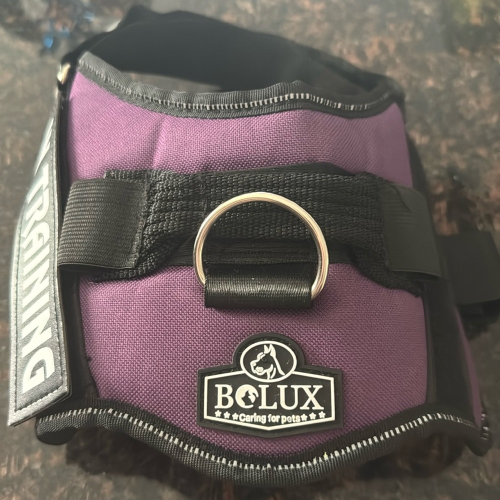 Bolux M dog harness